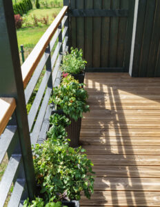 Add Shade to Your Deck to Help Keep It Cool